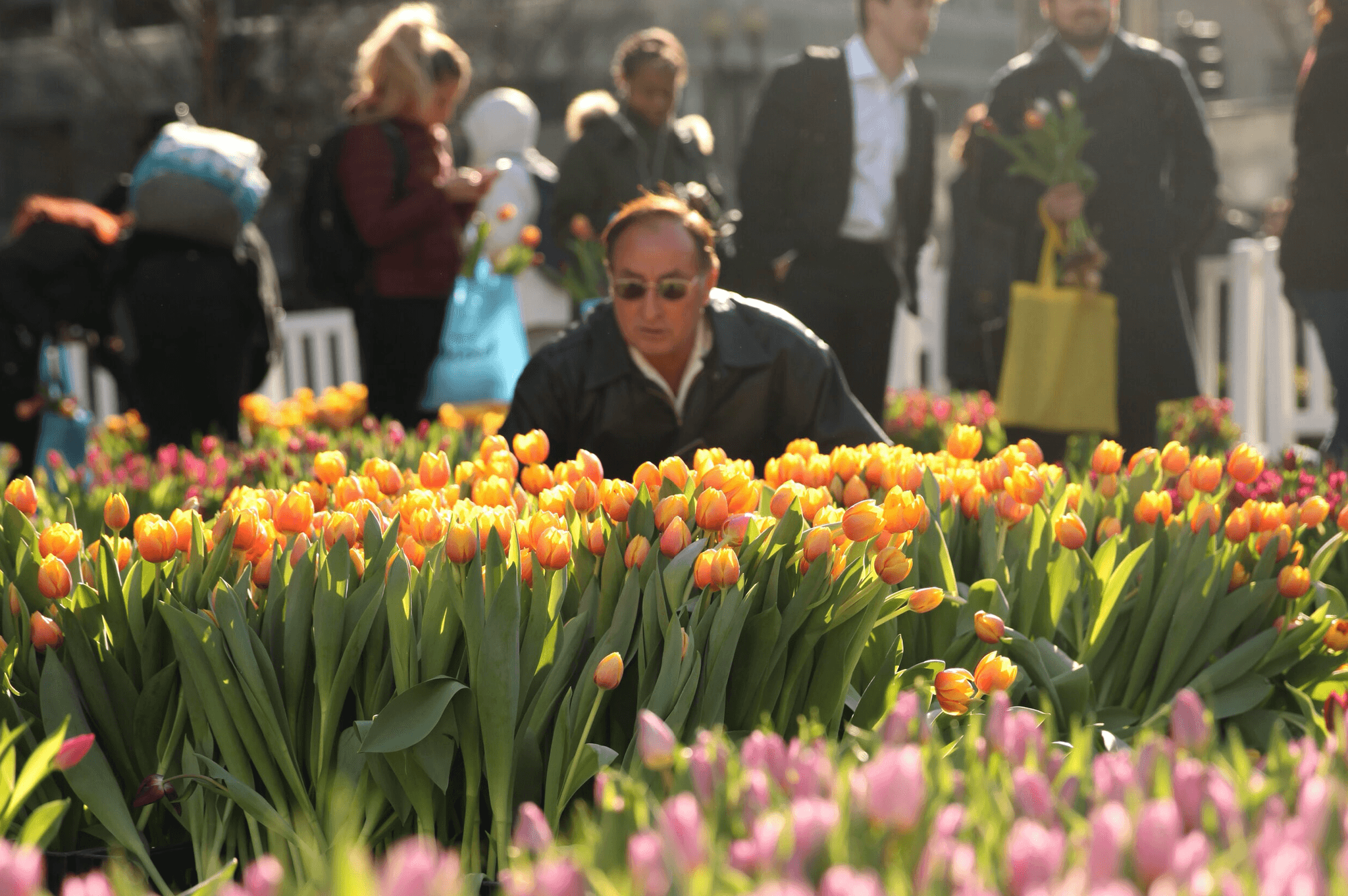 Bloomia rooftop greenhouses