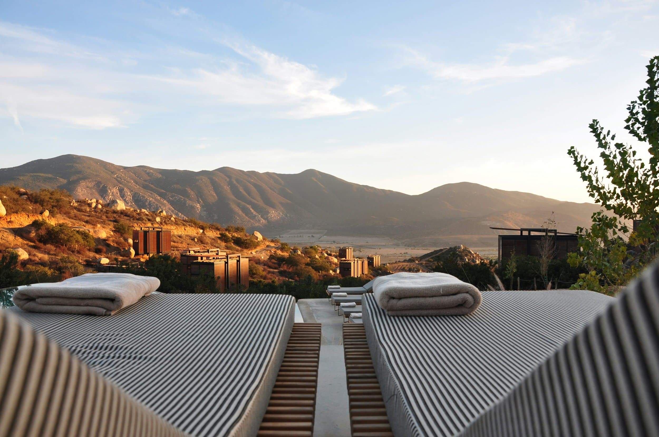 Empowering MEWS to deliver guest-centric innovation at scale while creating new opportunities for hotels. hero image